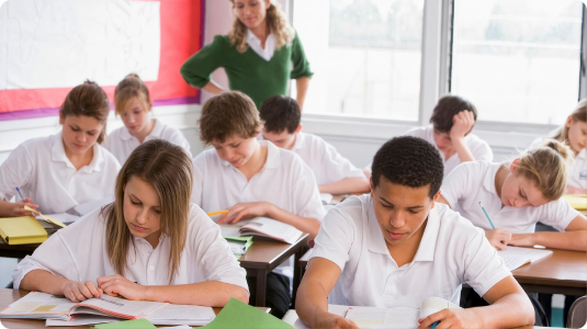 Leaving Cert Plus case study image